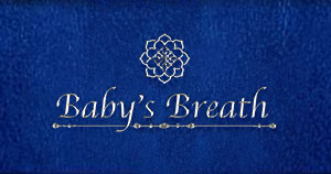 歌舞伎町Baby's Breath -Second-ホスト求人詳細
